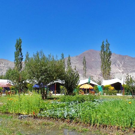 Tiger Camp Nubra Hotel Kültér fotó