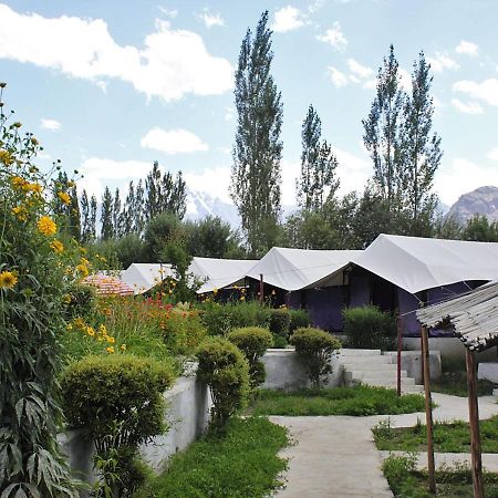 Tiger Camp Nubra Hotel Kültér fotó