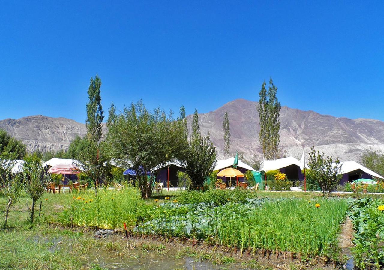 Tiger Camp Nubra Hotel Kültér fotó