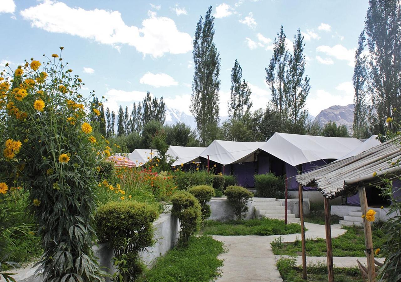 Tiger Camp Nubra Hotel Kültér fotó