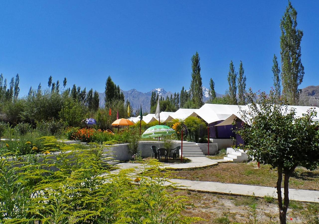 Tiger Camp Nubra Hotel Kültér fotó