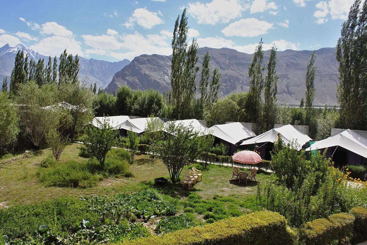 Tiger Camp Nubra Hotel Kültér fotó